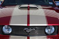 this is one of the best pics i have ever taken...it had to be mustang...my painter has just finished painting this stripe on this GT, i have to give him props..the pic is one of my favs...