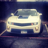 pearl white zl1 camaro blue stripe