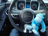 My car monkey...lol