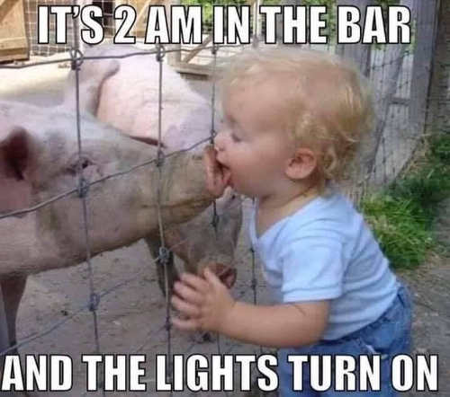 Name:  its-2am-in-bar-lights-turn-on-kissing-pig.jpg
Views: 1173
Size:  36.8 KB