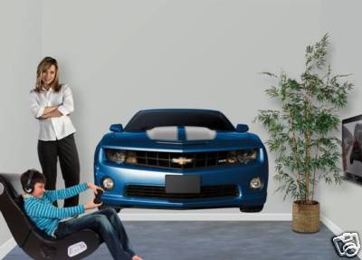 Name:  Camaro_fathead.jpg
Views: 89
Size:  15.2 KB