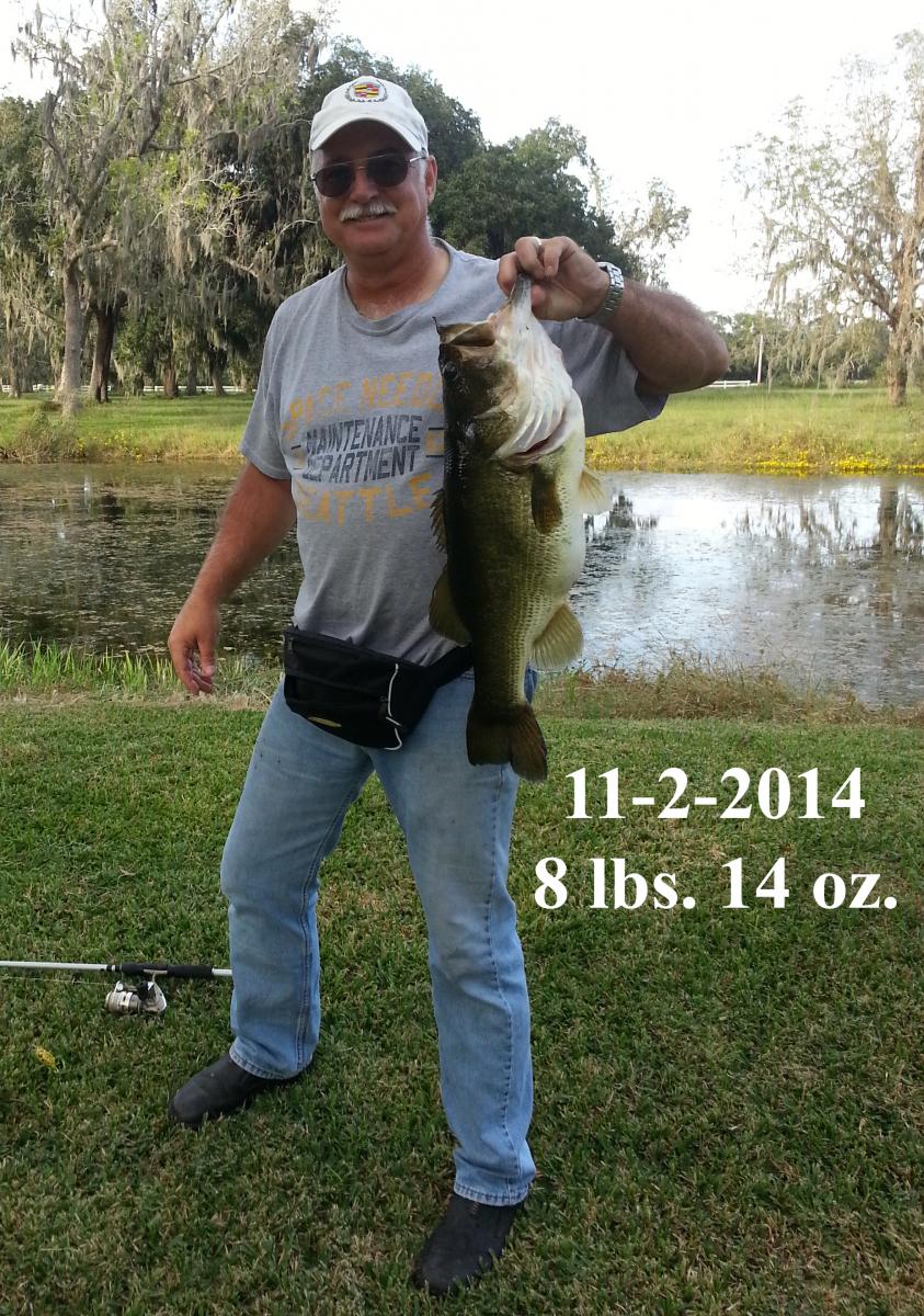 Name:  11-2-14 8lb 14oz fish2.jpg
Views: 283
Size:  228.9 KB