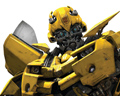 bumblebee1029